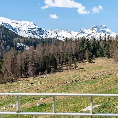 Penthouse With 4bedr Sauna And Parking